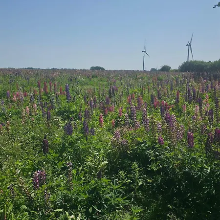 Luxury Retreat In Lolland - By Traum 펜션