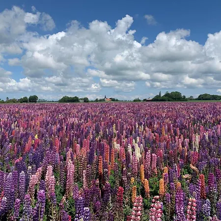 Luxury Retreat In Lolland - By Traum 낙스코우